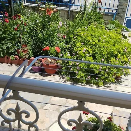 Marmelada شقة فندقية