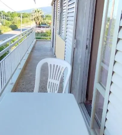 Marmelada * ليبتوكاريا