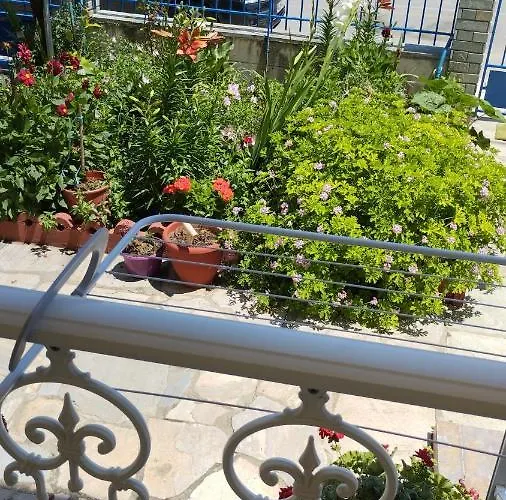 Marmelada Hotel de apartamente