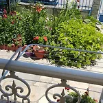Marmelada Apartahotel